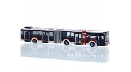 Rietze 75870 MAN Lion's City 18 '18 Zimmerberg Bus Bammert